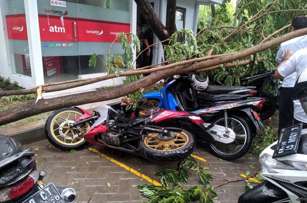 Sejumlah kendaraan yang sedang parkir di depan ATM Bank Jatim di Bojonegoro tertimpa pohon tumbang akibat hujan angin
