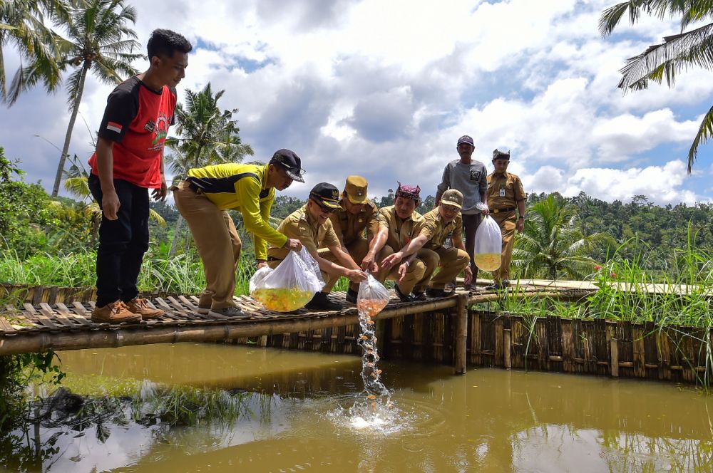 Bupati Azwar Anas berikan ribuan bibit ikan pada warga Desa Kluncing
