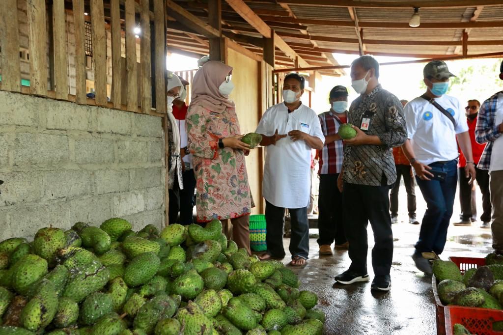 Bupati Banyuwangi Ipuk Fiestiandani saat meninjau tempat usaha frozen fruit di Desa Karangdoro, Kecamatan Tegalsari
