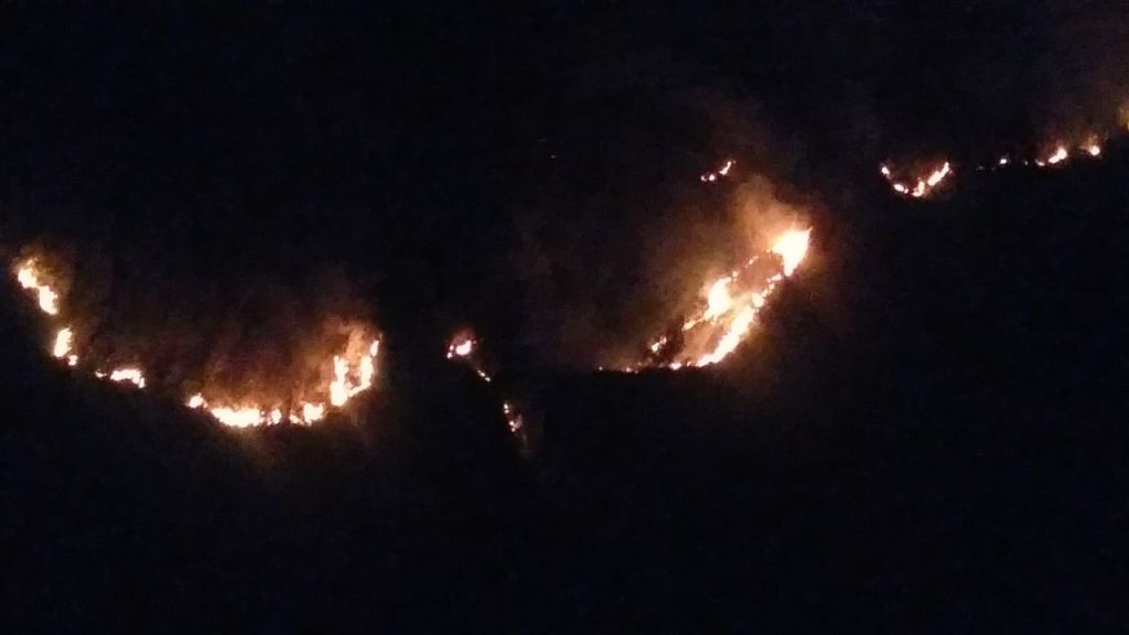 Kebakaran di kawasan hutan Gunung Bromo dilihat pada petang hari.