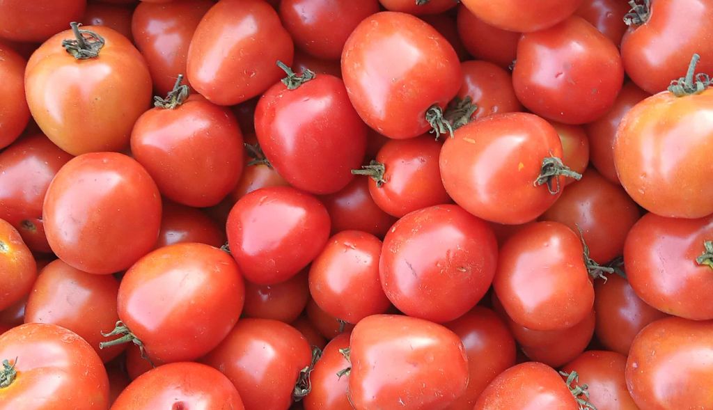 Harga Tomat Segar di PIOS Mulai Turun