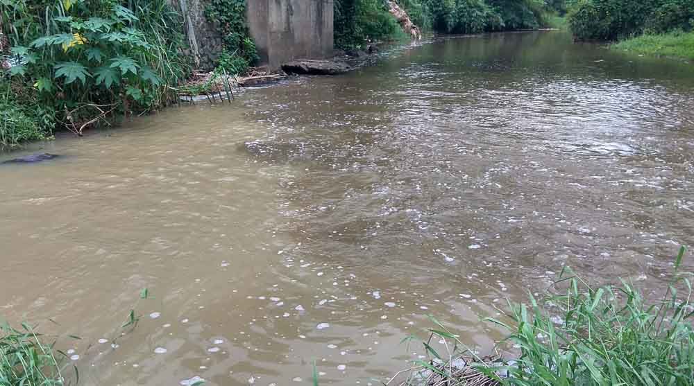 Sungai Genjong di Blitar yang diduga tercemar
