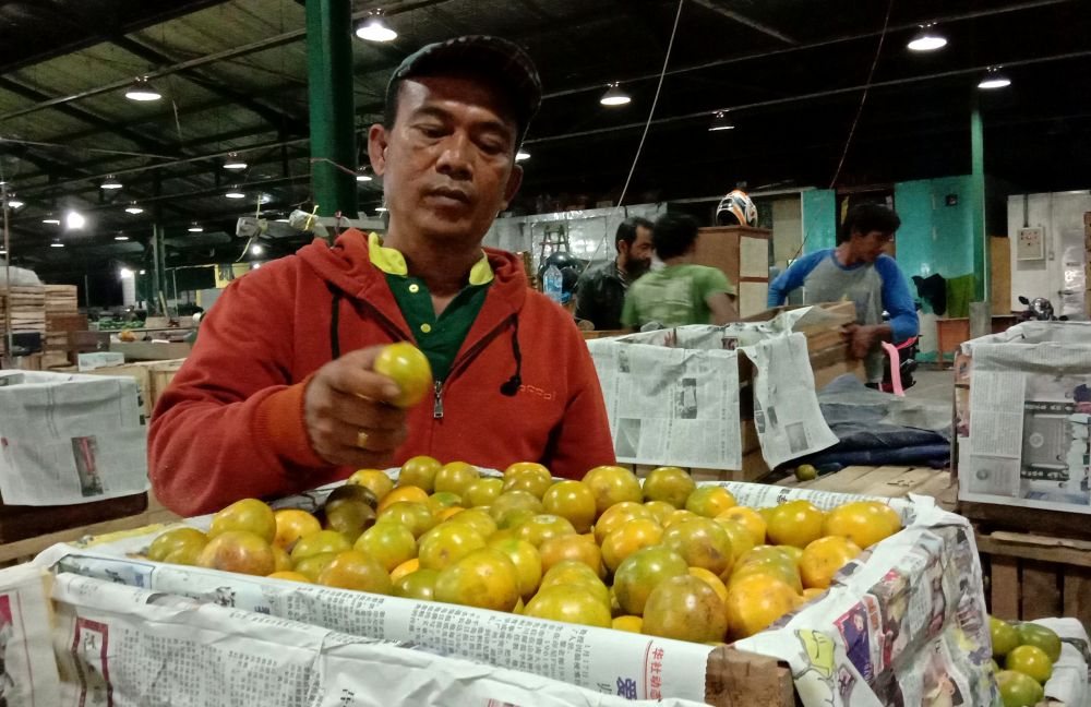 Pedagang buah jeruk di PIOS