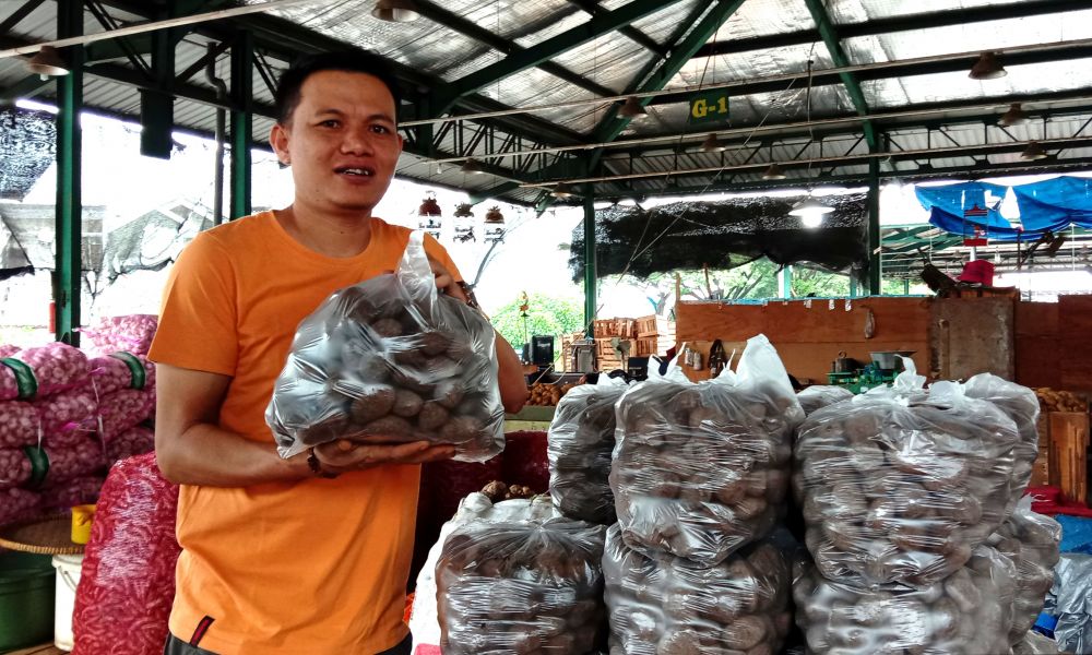 Biji kluwek atau kepayang yang tersedia di Pasar Induk Osowilangun Surabaya