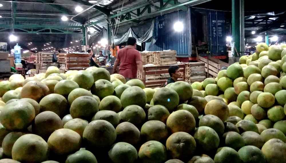 Pedagang jeruk di Pasar Induk Osowilangun