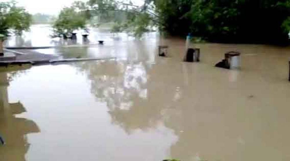 Desa dan sawah di Balongpanggang Gresik terendam banjir