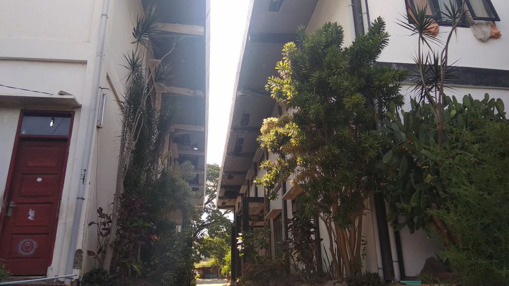 Kondisi plafon bangunan utama gedung kesenian Kota Batu