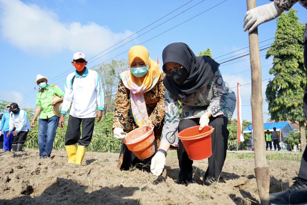 Petani tanaman pangan Banyuwangi digelontor bantuan 582 ton benih berkualitas
