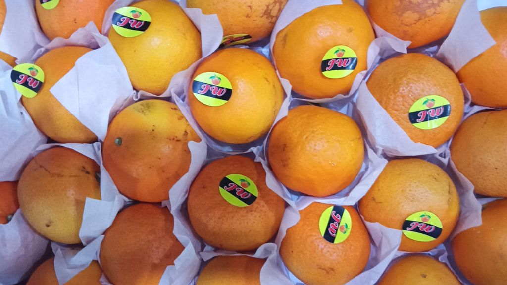 Jeruk impor di PIOS