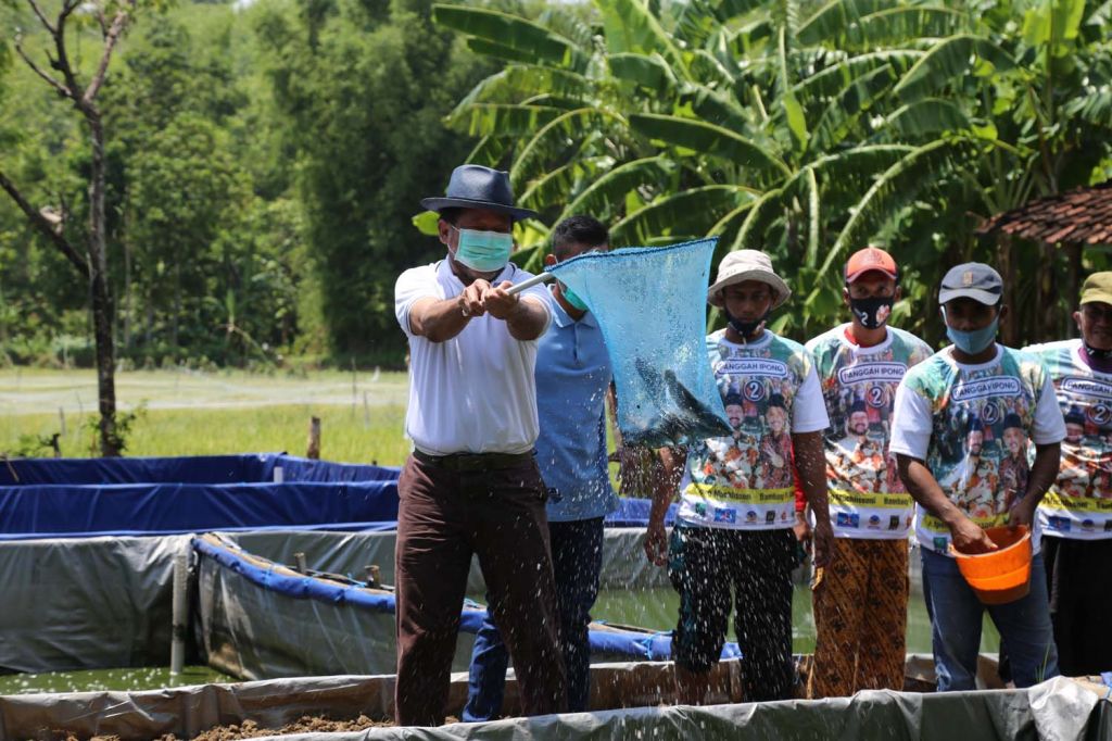 Ipong tabur benih ikan lele bersama pemuda Desa Ngindeng, Kecamatan Sawoo