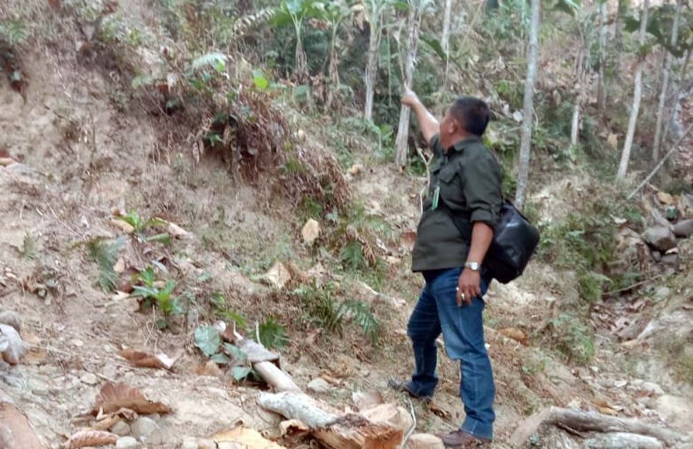 Petugas menunjukkan lokasi diduga tempat macan tutul menampakkan diri