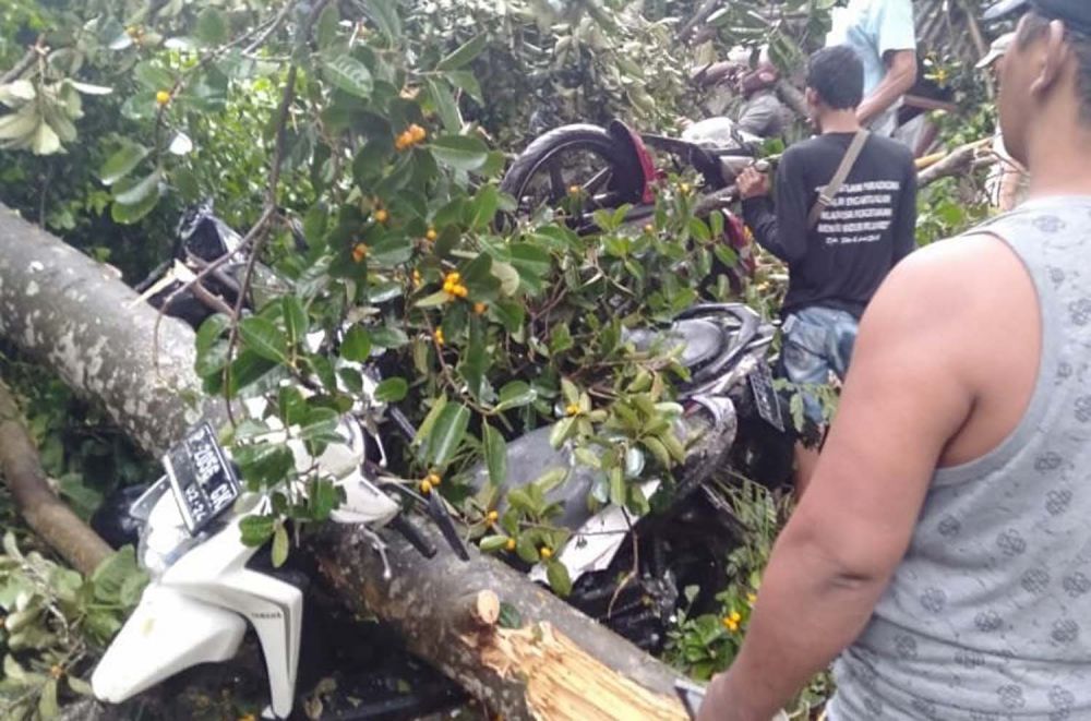 Sejumlah motor juga rusak tertimpa pohon akibat hujan angin di Kota Kediri