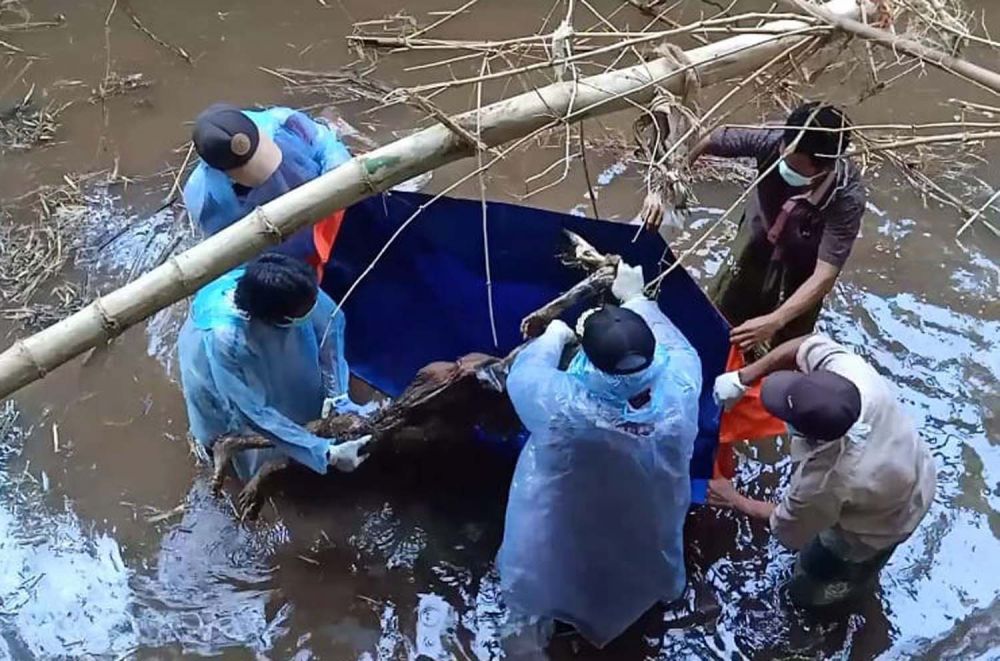 Petugas mengevakuasi mayat wanita yang ditemukan dalam sungai di Pasuruan