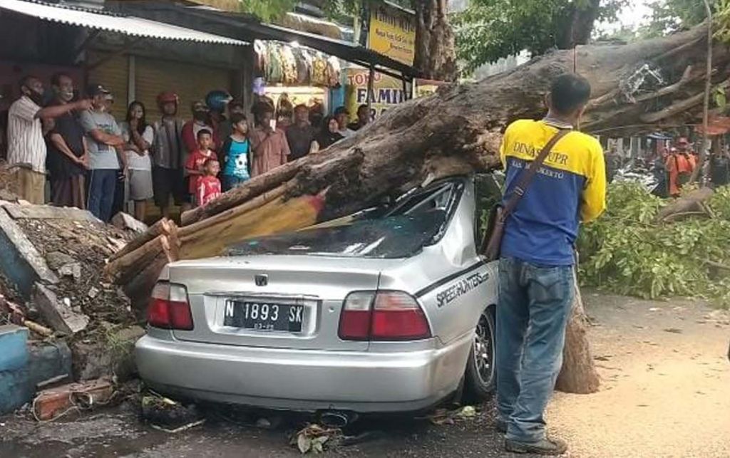 Mobil ringsek tertimpa pohon di Mojokerto