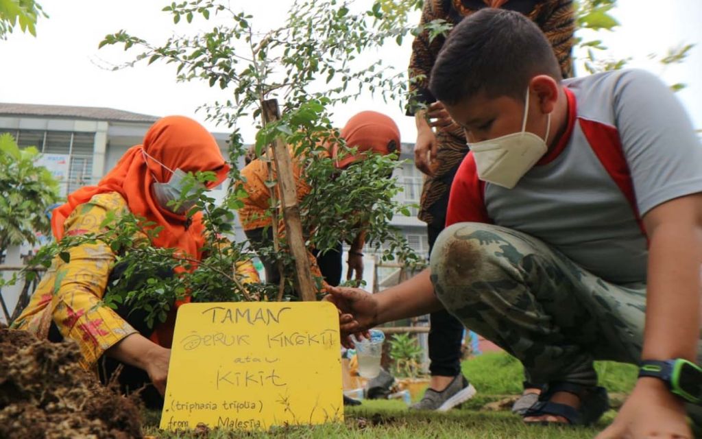 Nevan saat menanam 100 bibit pohon jeruk kingkit di Taman Hutan Raya Lempung, Sambikerep, Surabaya