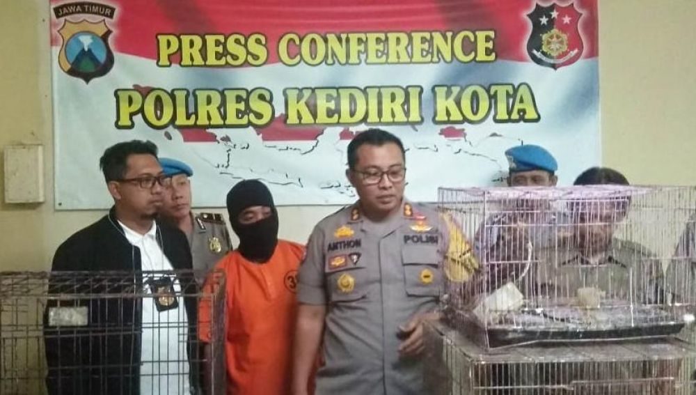 Pelaku dan satwa-satwa langka yang diperdagangkan diamankan di Mapolres Kediri Kota