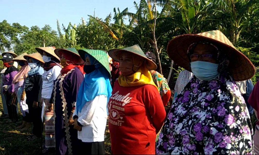 Para petani di Probolinggo menggelar upacara HUT ke-75 Kemerdekaan RI