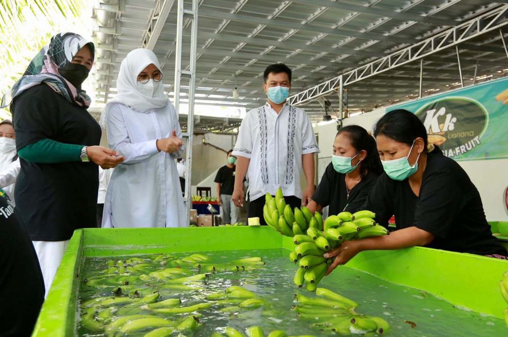 Bupati Ipuk mengunjungi lokasi pengolahan Pisang Cavendish milik Gunawan di Desa Temurejo, Kecamatan Bangorejo, Kabupaten Banyuwangi