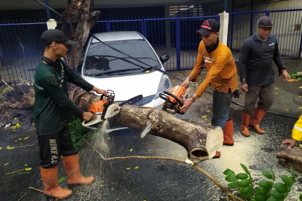 Petugas memotong pohon tumbang di Jalan Kedungdoro, Surabaya