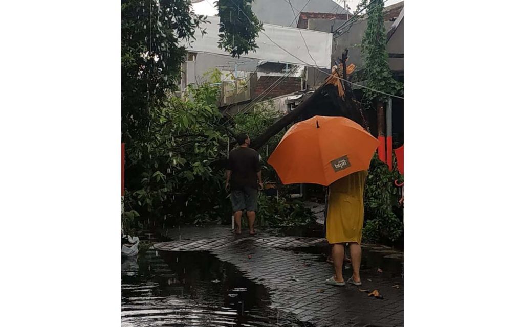 Pohon tumbang di Dukuh Setro VIII, Surabaya (Foto: akun @kekmadu)