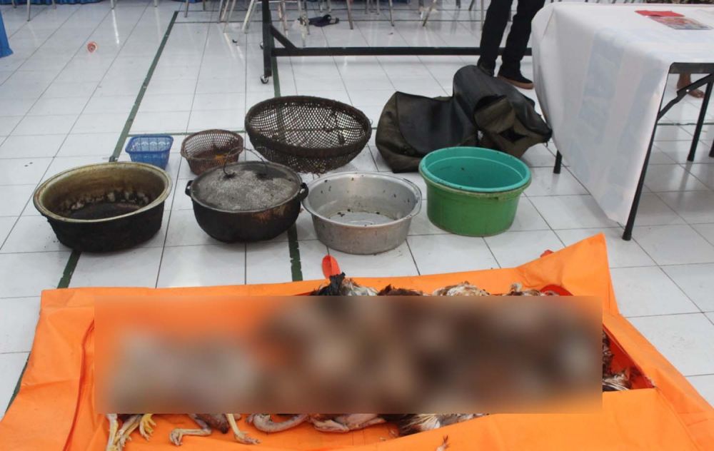 Beberapa ayam tiren yang diperdagangkan pelaku disita Penyidik Satreskrim Polres Blitar Kota