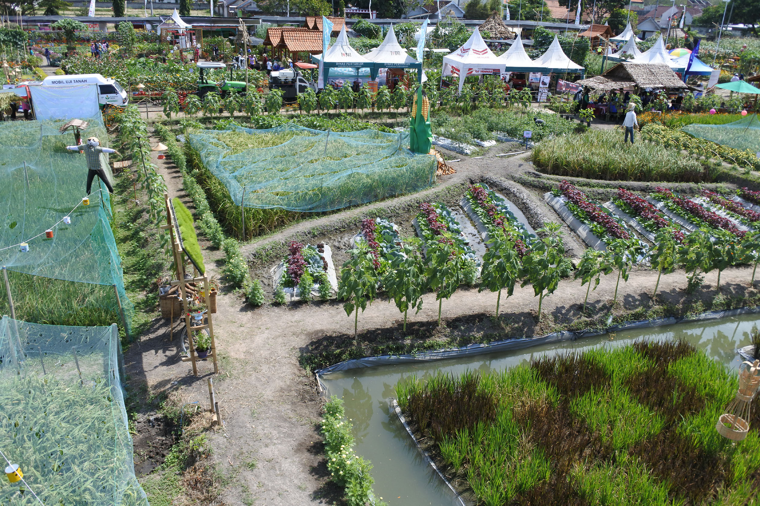 Sajikan Wisata Pertanian, Banyuwangi Agro Expo Dibanjiri Pengunjung Sajikan Wisata Pertanian, Banyuwangi Agro Expo Dibanjiri Pengunjung