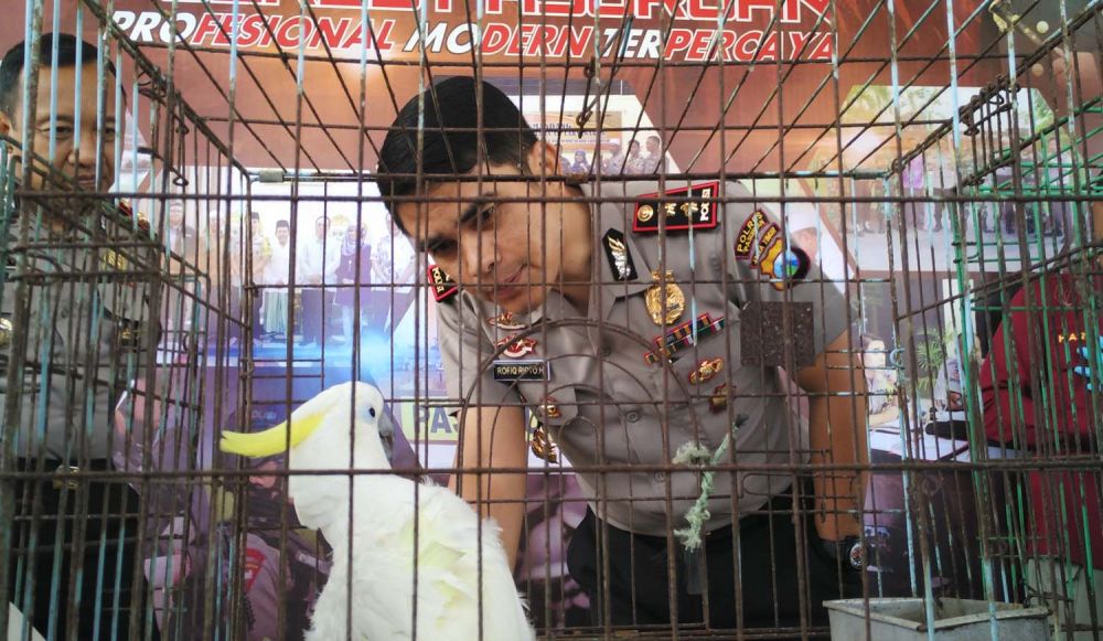 Kapolres Pasuruan AKBP Rofiq Ripto Himawan melihat kondisi satwa langka dilindungi yang disita dari rumah seorang warga
