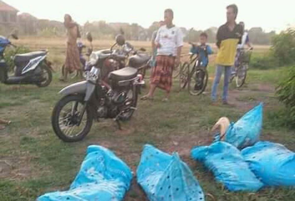 Warga melihat lima kambing yang gagal dicuri di Sukodono, Sidoarjo