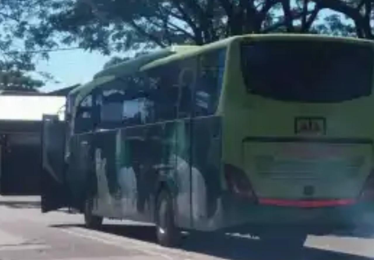 Viral Mahalnya Bus Patas Surabaya Ponorogo Tapi Fasilitas Ekonomi