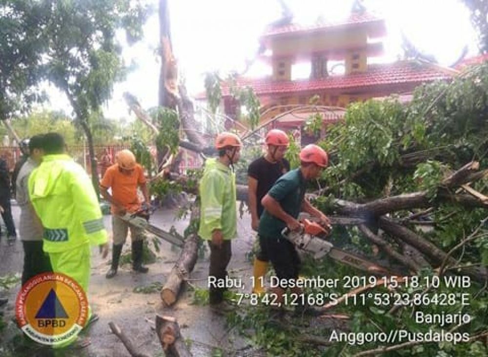 Pohon tumbang di depan klenteng di Jalan Jaksa Agung Suprapto, Bojonegoro