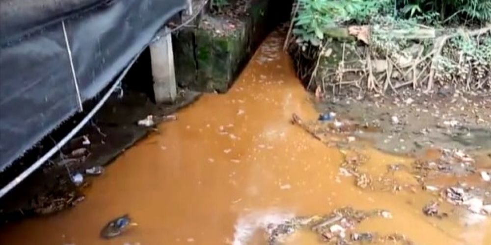 Pencemaran sungai di Kecamatan Wringinanom, Gresik