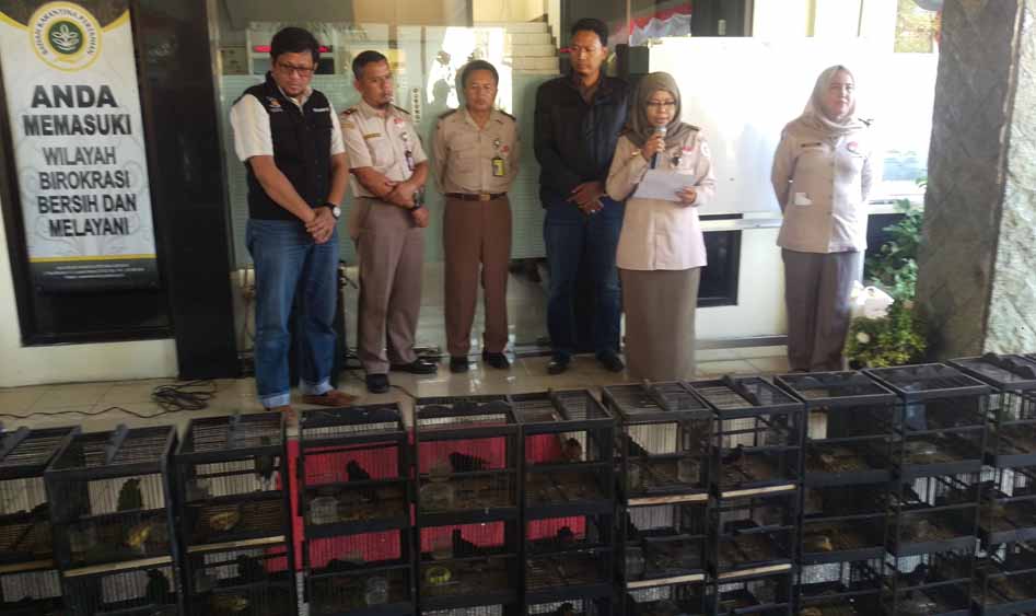 BBKP Surabaya Saat Rilis Penyelundupan Ratusan Burung dari Kalimantan