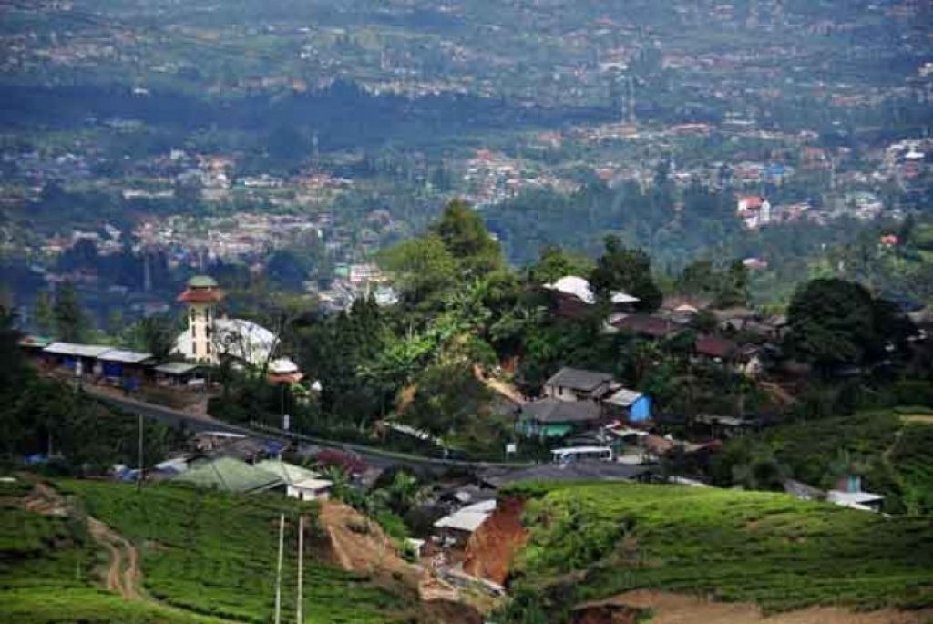 Puncak, Bogor, Jawa Barat (Foto: Republika/Rakhmawaty La'lang) 