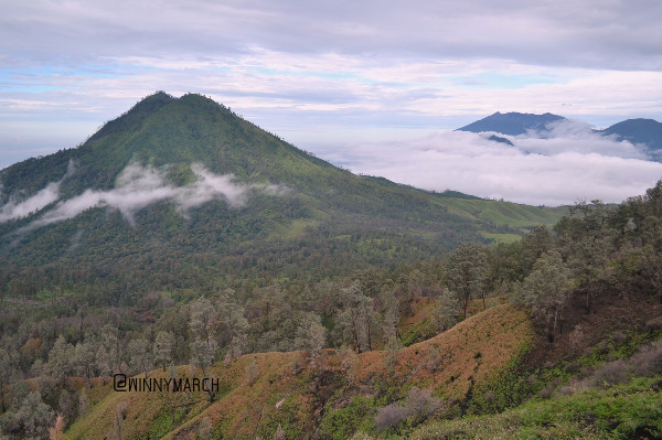 Unduh 62 Koleksi Gambar Gunung Bondowoso Terbaru Gratis HD