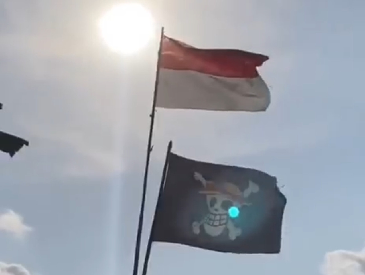 Bendera Topi Jerami berkibar dibawah bendera merah putih (tangkapan layar tiktok)