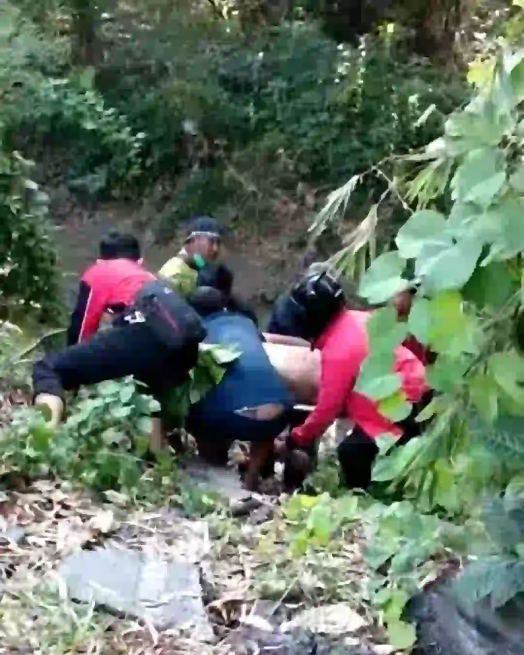 kecelakaan lalu lintas terjadi di jalan raya Kecamatan Sambeng, Lamongan