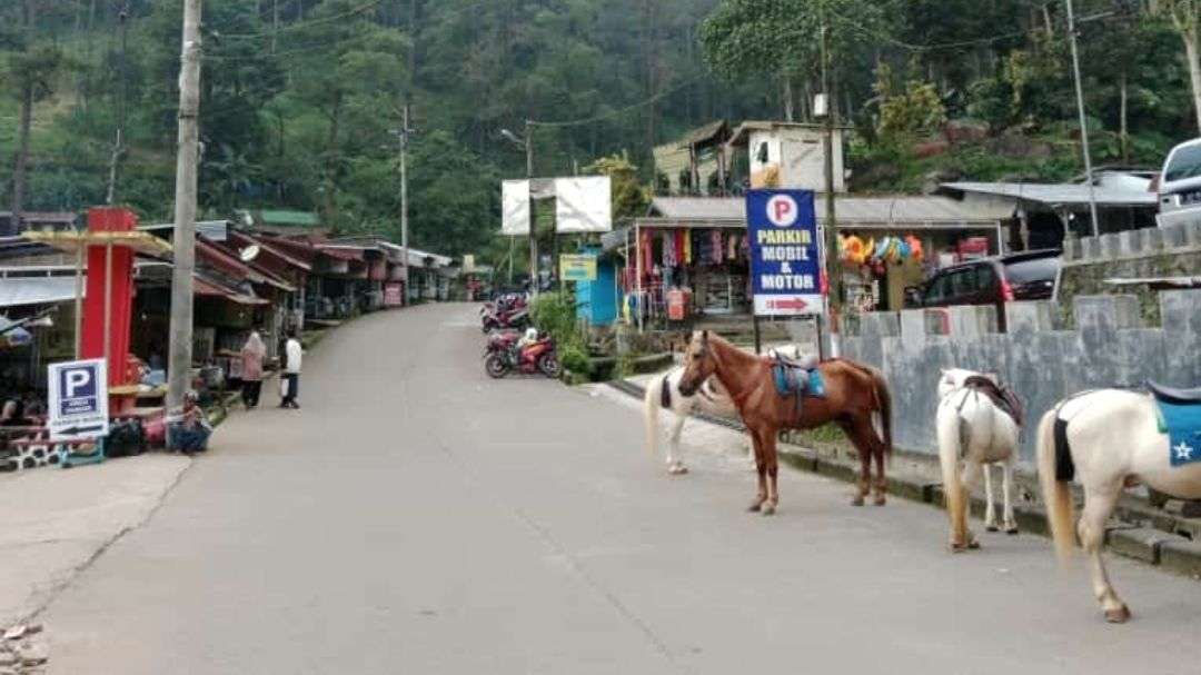 Berkuda di lokasi wisata