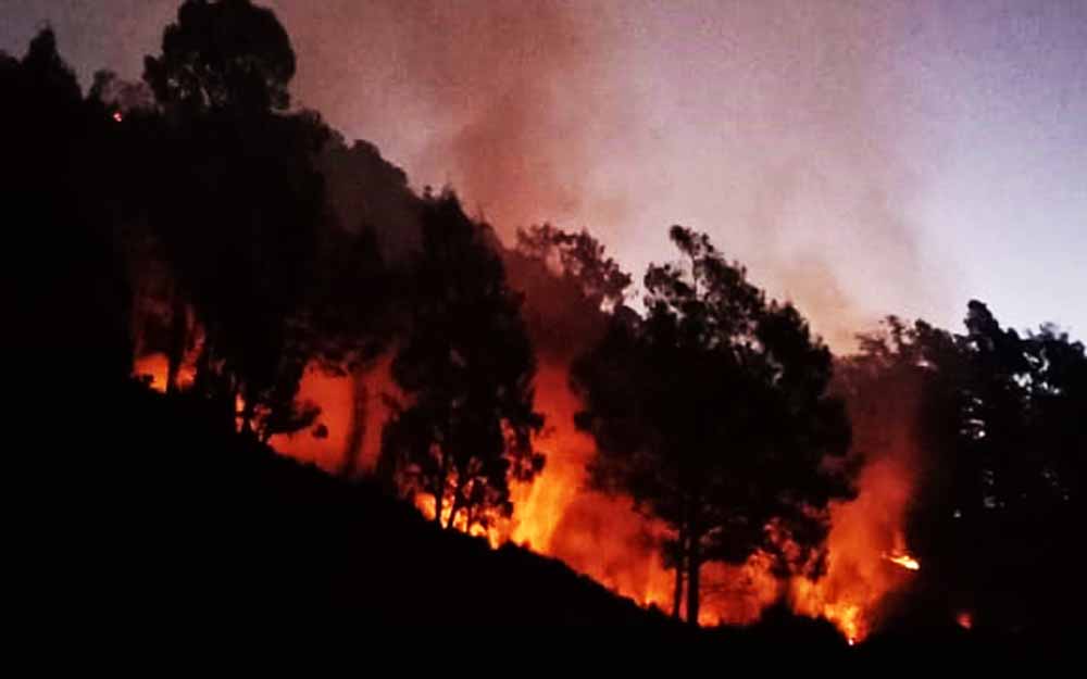 Kebakaran di lereng gunung Buthak