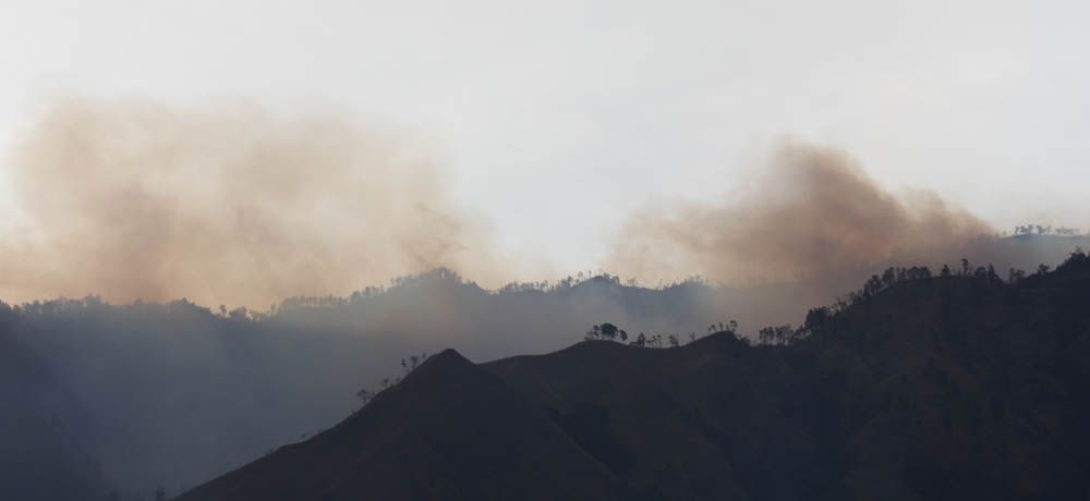 Asap mengepul dari titik yang terbakar/Foto: Budi Sugiharto [jatimnow.com]