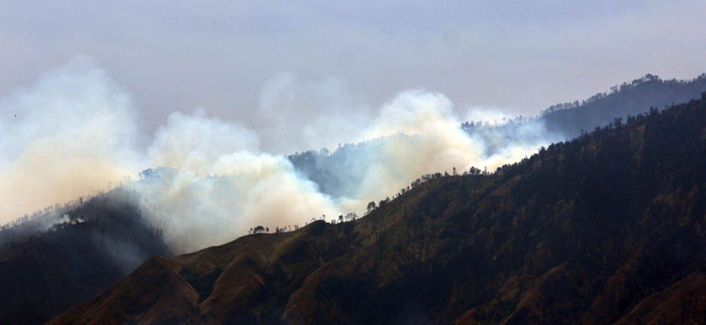 Kebakaran diduga terjadi Lembah Kidang/Foto: Budi Sugiharto [jatimnow.com]