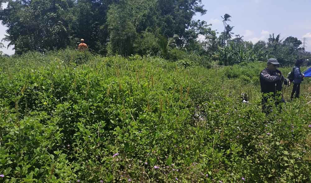 Penemuan situs purba di proyek Tol Malang-Pandaan
